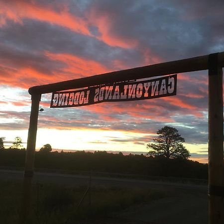 Lupine Cabin, Glamour Camping, Stunning Skies And Sunrise Views Monticello Εξωτερικό φωτογραφία