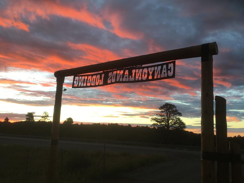 Lupine Cabin, Glamour Camping, Stunning Skies And Sunrise Views Monticello Εξωτερικό φωτογραφία